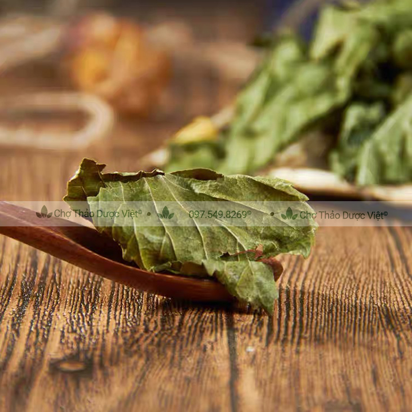 Lá dâu tằm khô 100g (Tang diệp)