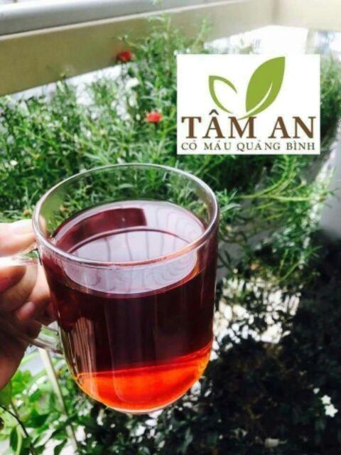 Cỏ máu Tâm An Quảng Bình