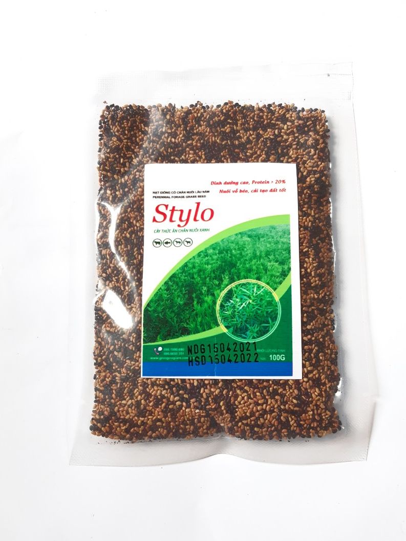 (100g), Giống cỏ Stylo - giàu dinh dưỡng