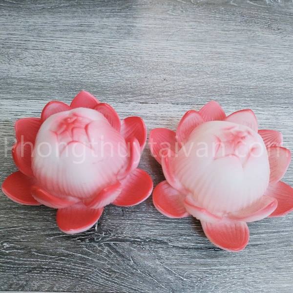 Đèn Hoa sen Hồng LED 12cm(kèm Pin)_Video