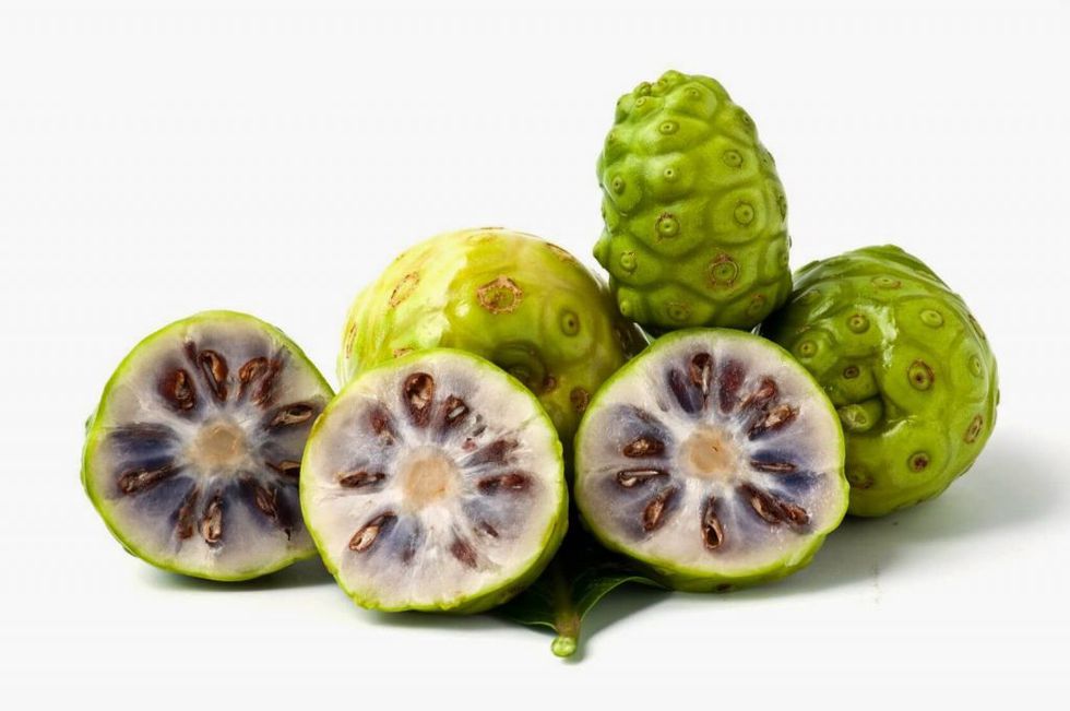 Trái nhàu tươi sấy khô ( túi zip 300 g)