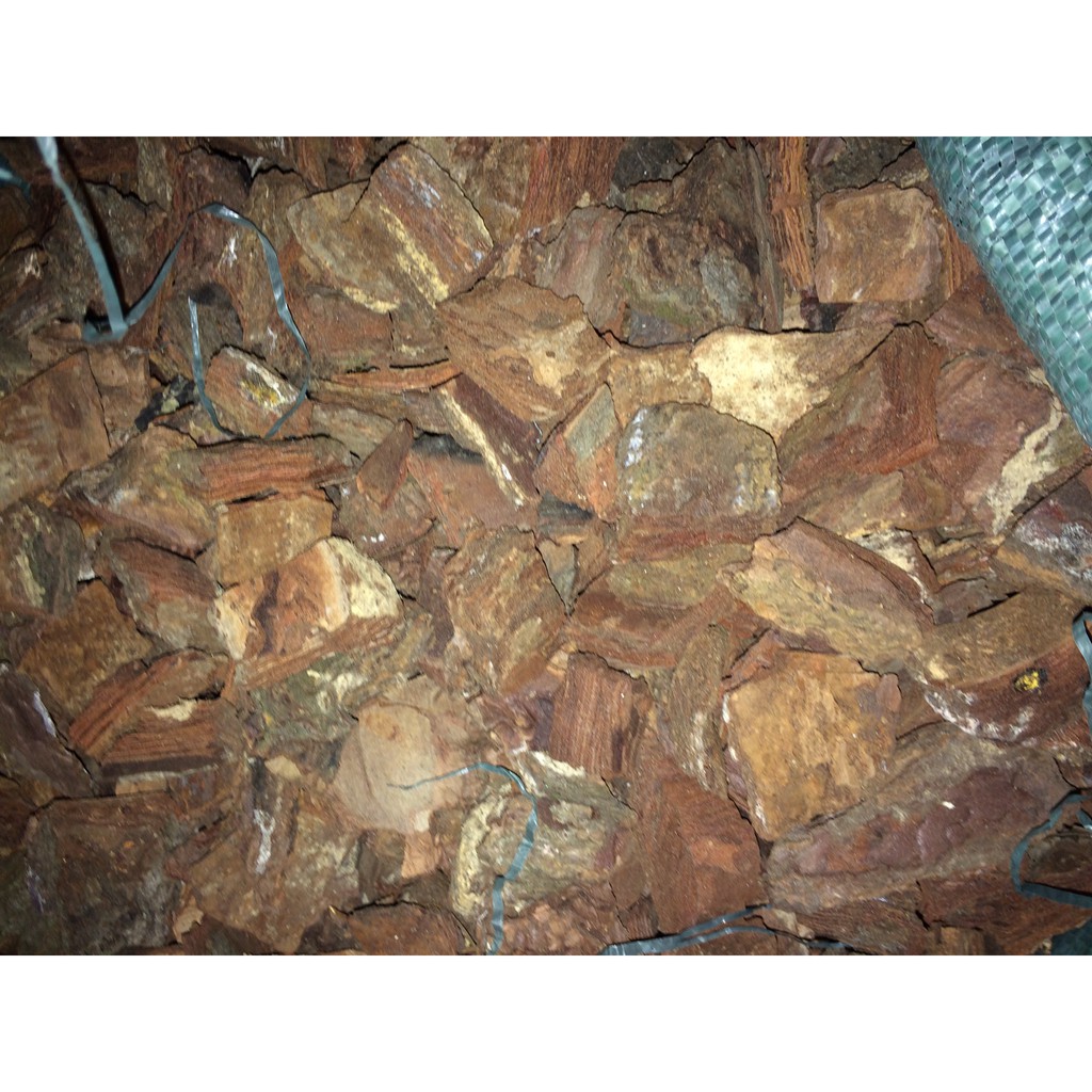 1kg Vỏ thông trồng hoa lan đã qua xử lý, nhiều loại kích thước dùng trồng hoa lan hồ điệp, phi điệp, lan kiếm