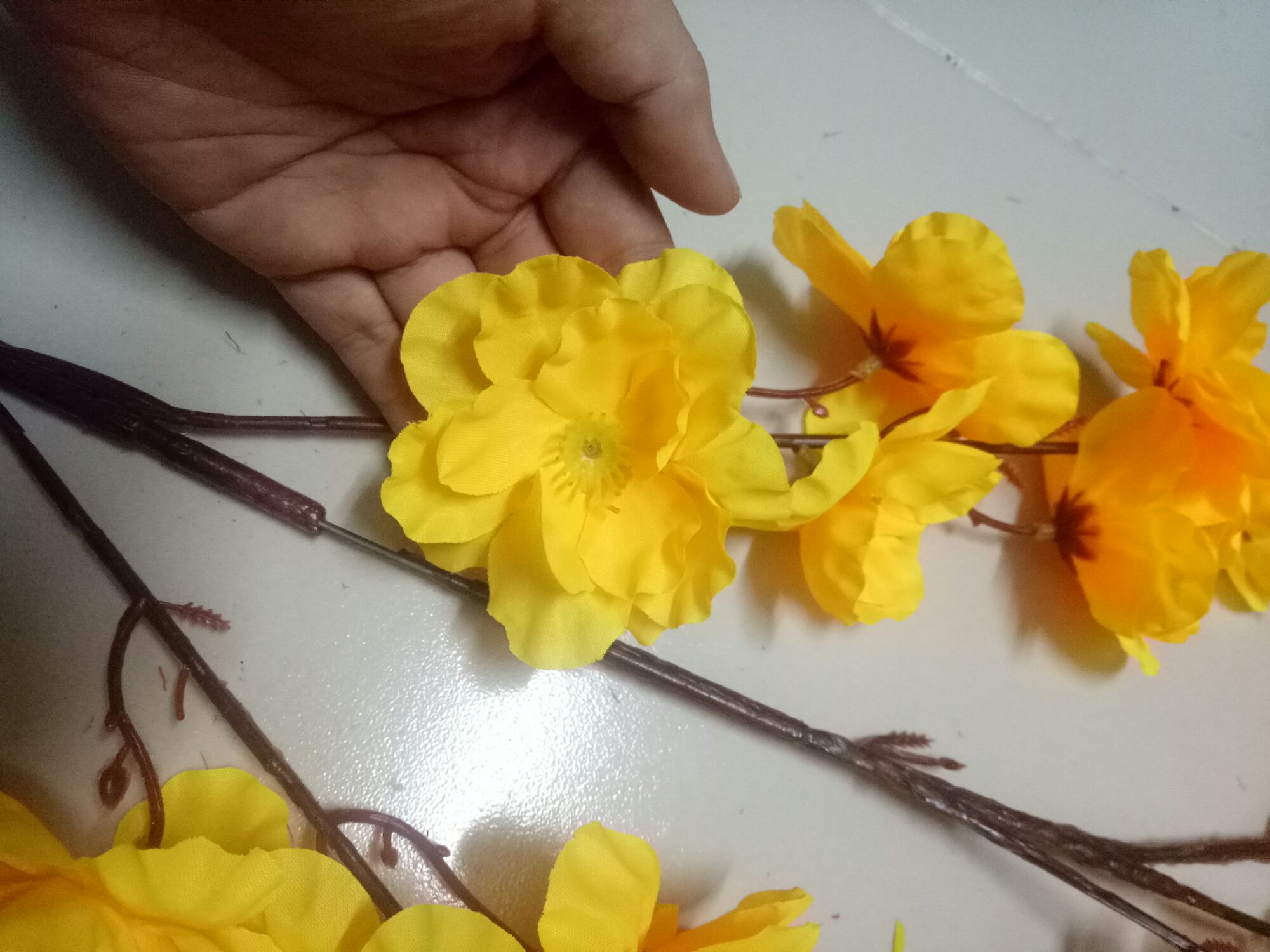 1 cành hoa mai cánh lớn - 1 mét