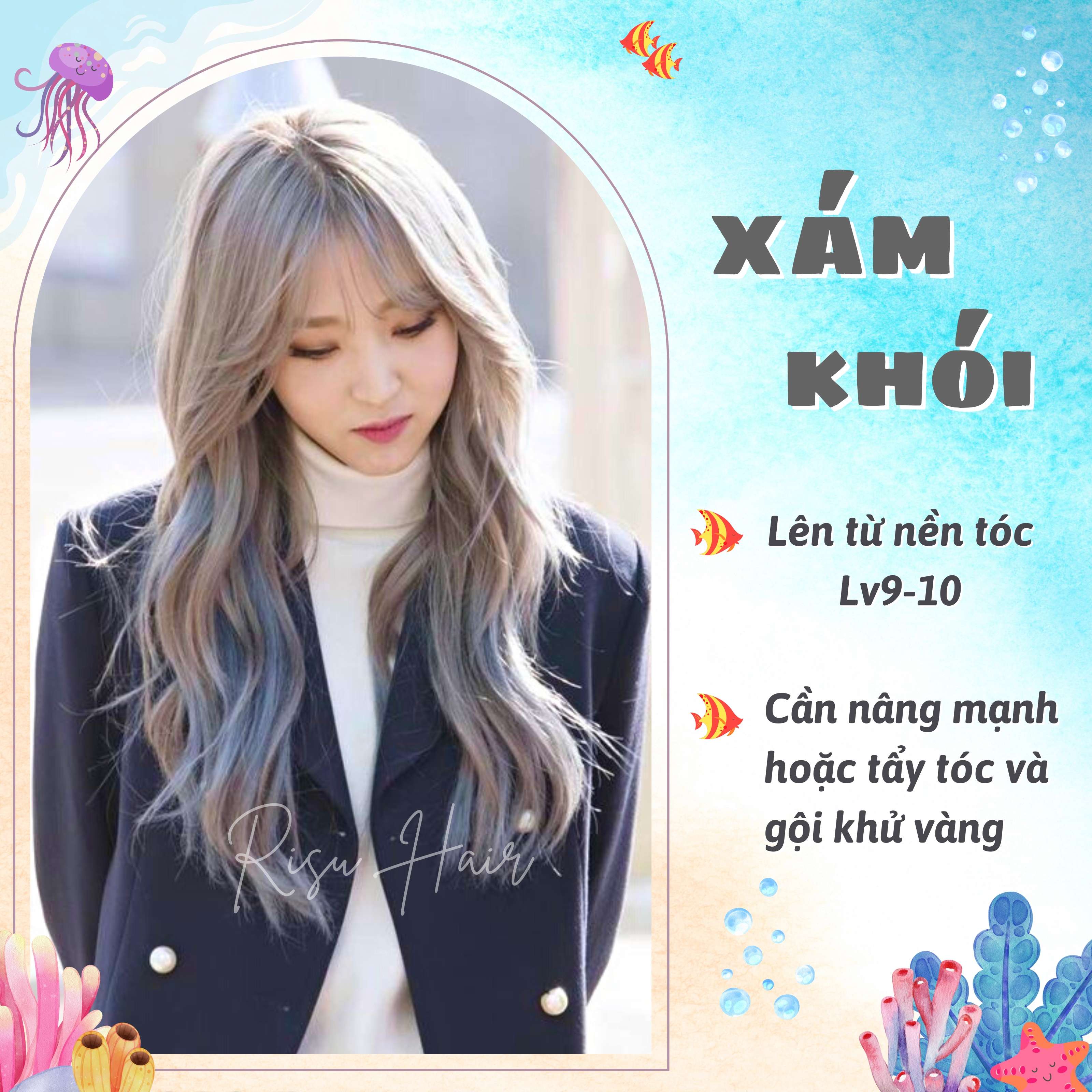 Thuốc Nhuộm Tóc Màu Xám Khói - Risu Hair.