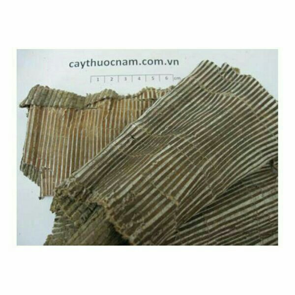 1kg đỗ trọng