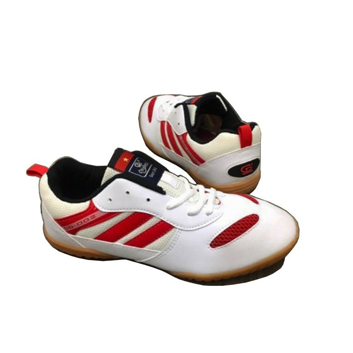 GIÀY CẦU LÔNG, GIÀY BÓNG CHUYỀN BÓNG BÀN