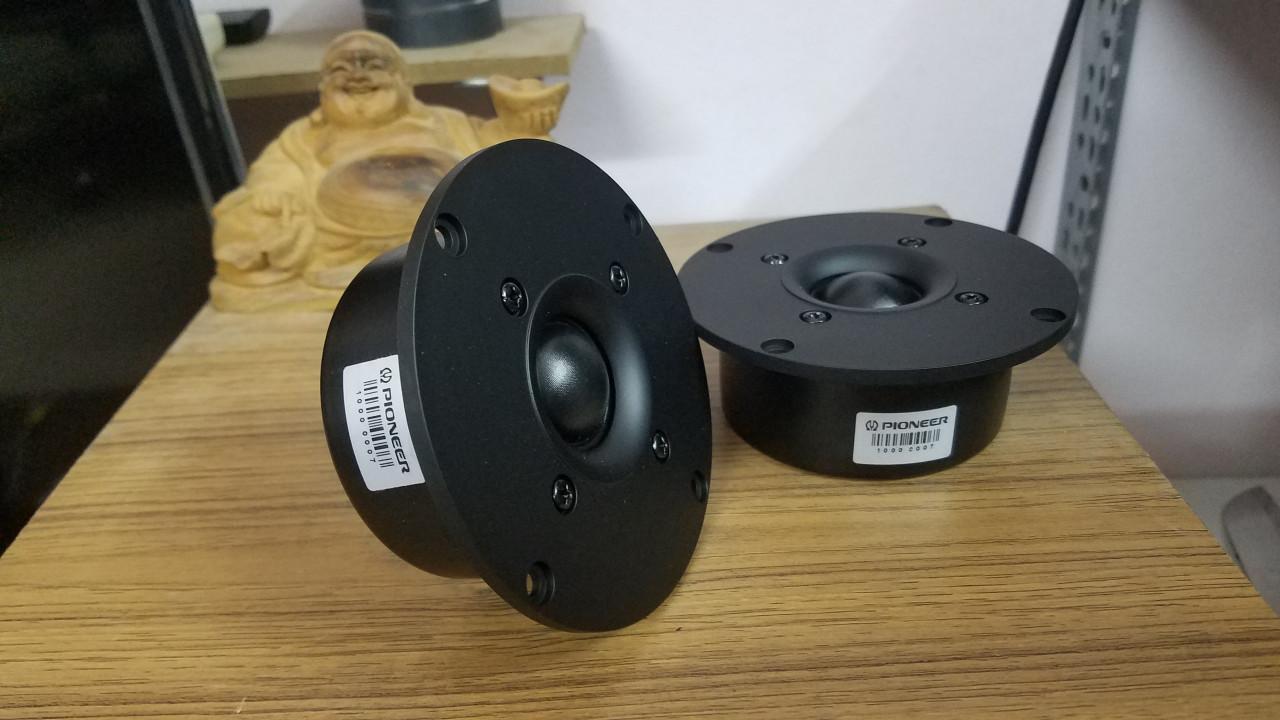 Loa trép Pioneer P03
