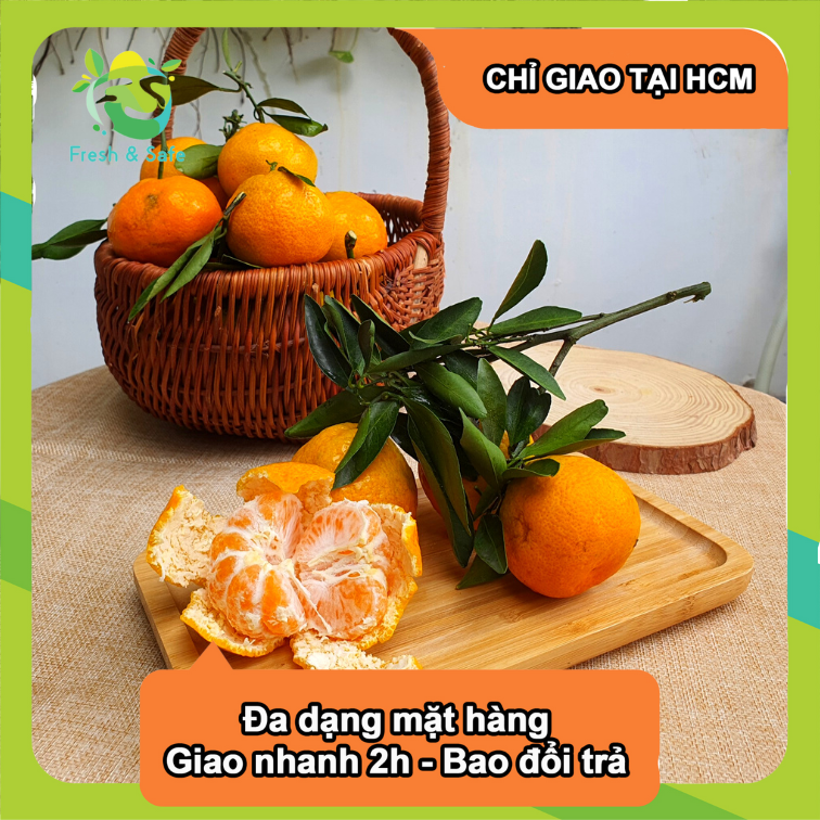 [Chỉ Giao HCM] Quýt Thái - 1kg