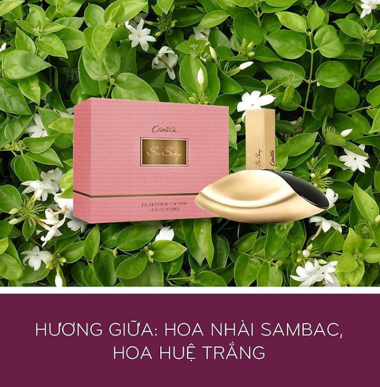 Nước hoa nữ Cenota Si Sexy 30ml ngọt ngào quyến rũ, 100% hương hoa từ Pháp