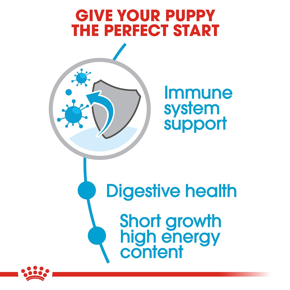 Hạt Cho Chó Con Giống Lớn Royal Canin Maxi Puppy