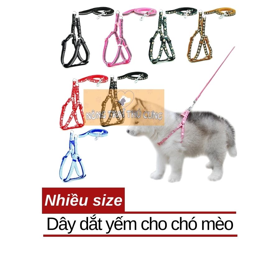 Dây dắt kèm yếm vải bò cho chó mèo 5-20kg - giao màu ngẫu nhiên -