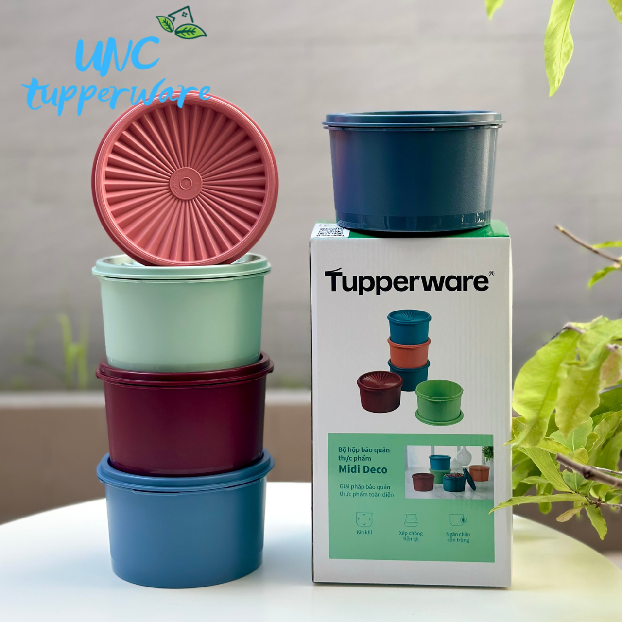 Bộ hộp bảo quản thực phẩm Tupperware Midi Deco (5)