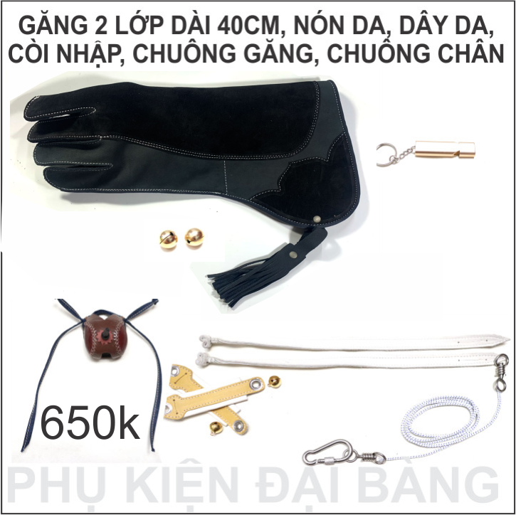 [HCM]PHỤ KIỆN CHIM ĐẠI BÀNG NÚI
