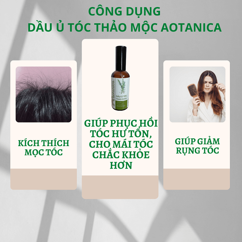 Dầu ủ tóc thảo dược Aotanica 100ml