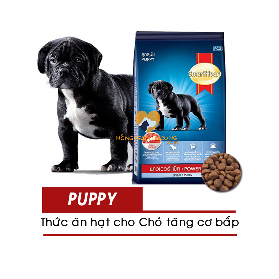 Thức ăn cho chó con smartheart power pack puppy gói 10kg- giúp tăng cơ bắp -