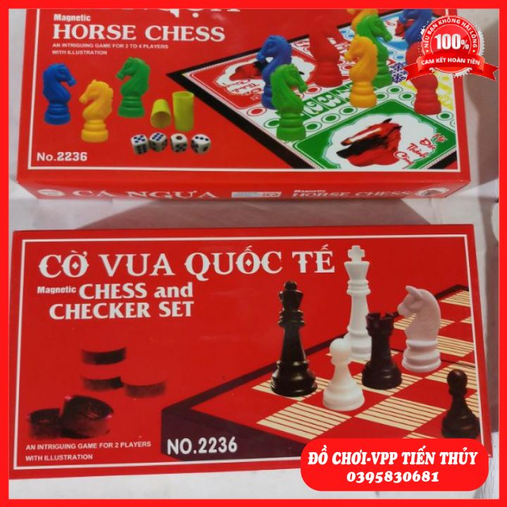 Bộ cờ vuacó nam châm loại nhỏ 28cm x 28cm .55k một bộ