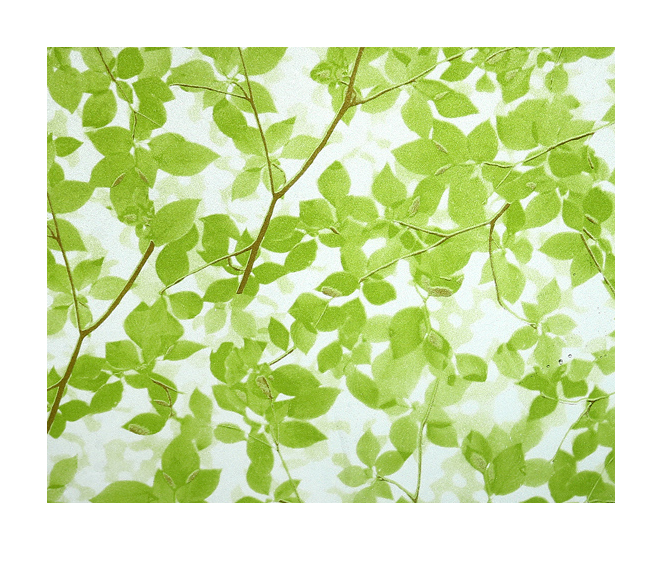 COM BO 5 MÉT DECAL GIẤY DÁN KÍNH KEO SẴN KHỔ 45CM MẪU LÁ XANH