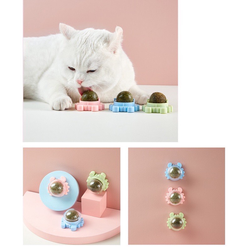 KẸO MÚT DÁN TƯỜNG / KẸO CỎ MÈO CATNIP