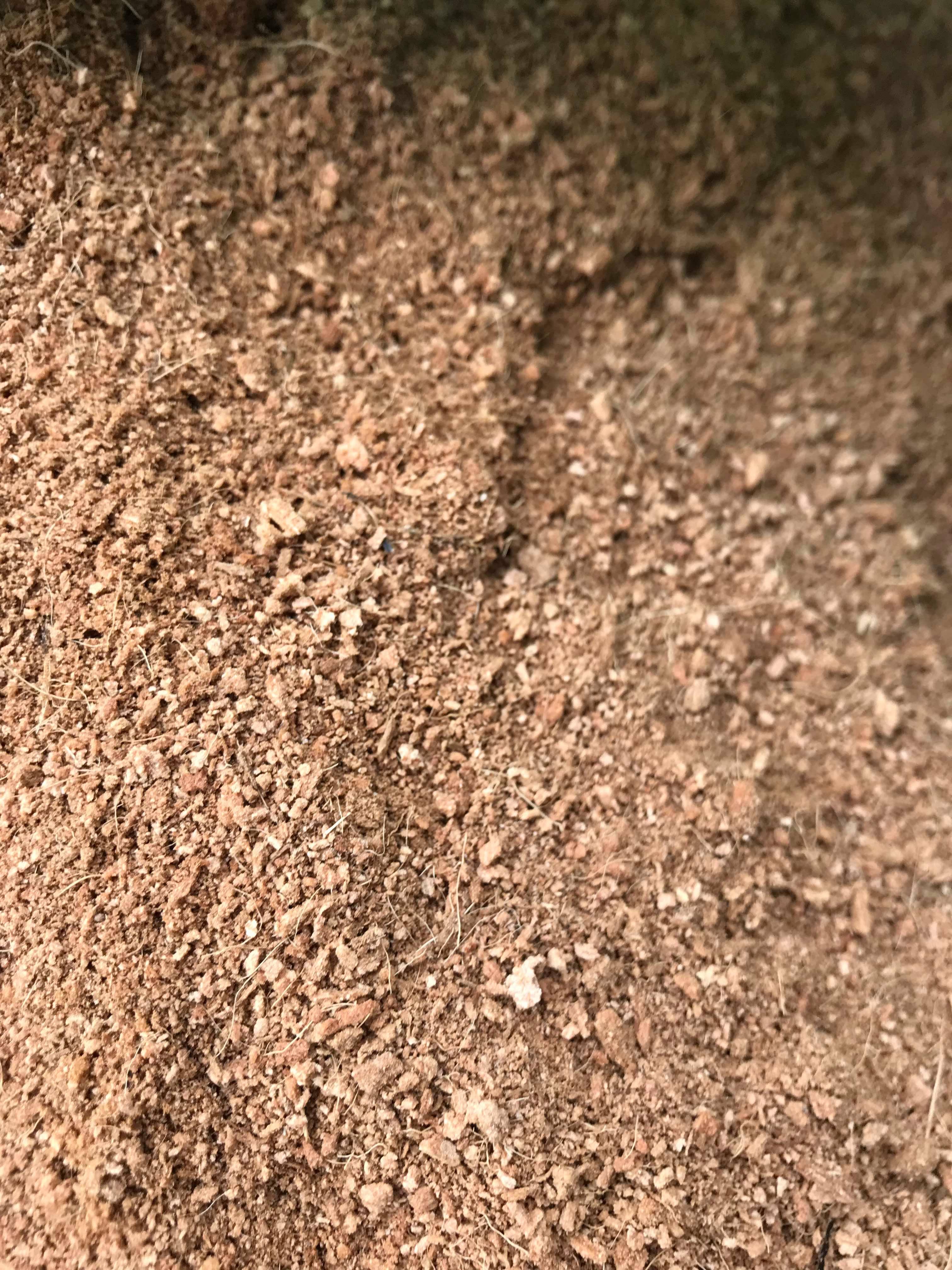 Mùn xơ dừa trồng 5 lít