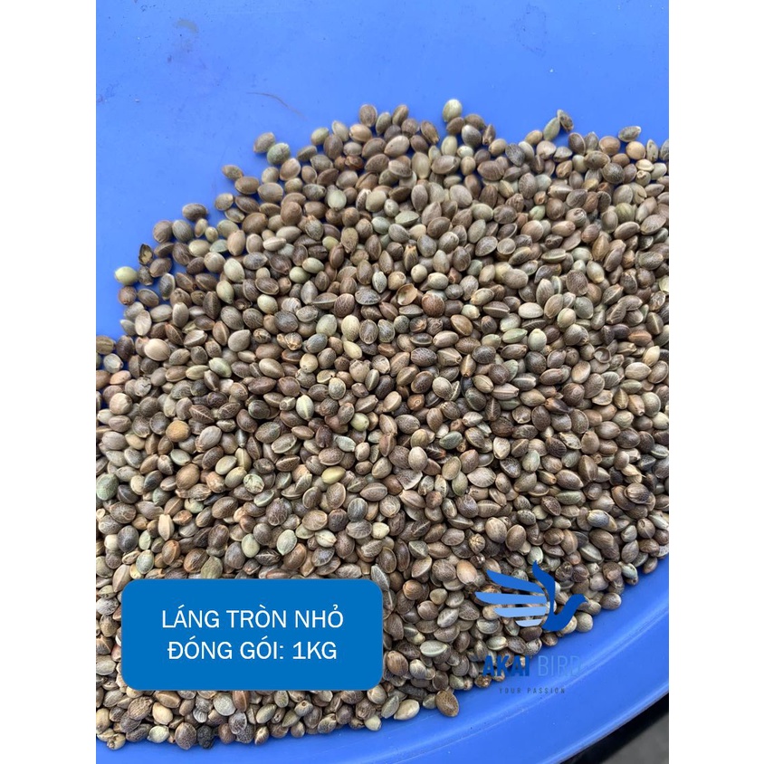 [1KG] Hạt Láng Tròn Dành Cho Vẹt, Hamster, Sóc, Chim Cảnh...