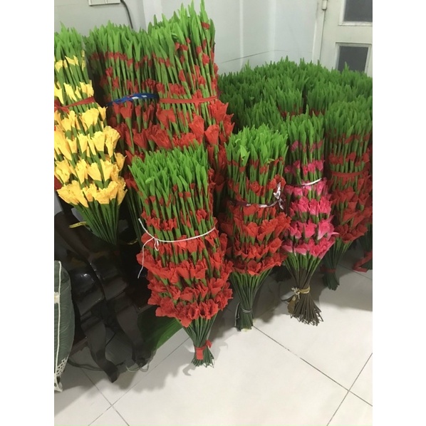 combo 10 củ  Hoa lay ơn đủ màu