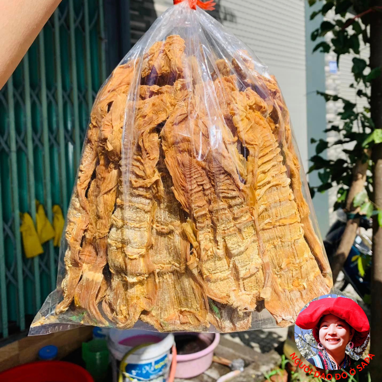 Măng bẹ, măng vầu khô Tây Bắc loại 1 ngon đặc biệt dày giòn. Đặc sản măng tre, trúc rừng, măng bẹ, rối, măng nứa, lưỡi lợn