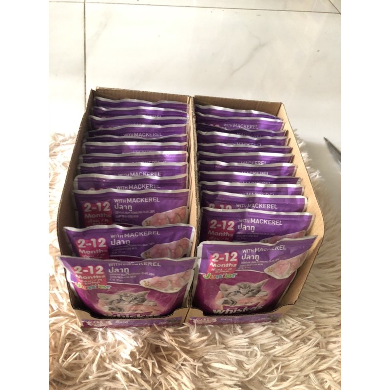 Combo 24 Gói Pate Mèo Con Whiskas 80g [ date 2024]