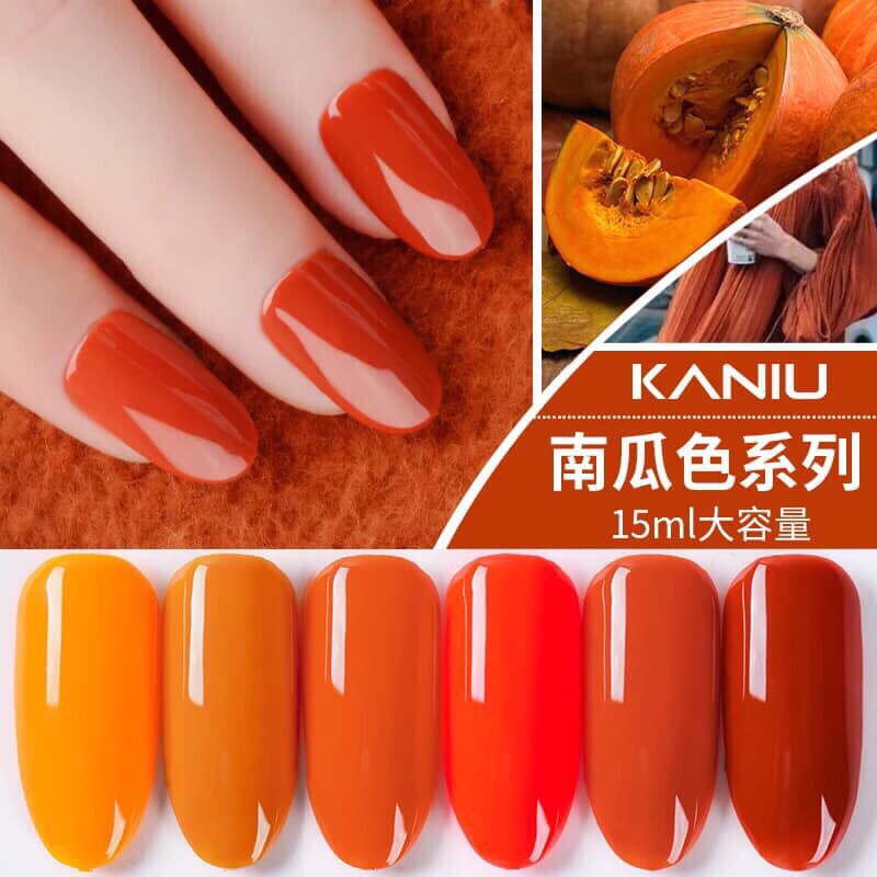Sơn Gel KaNiu Set 06 chai 15ml