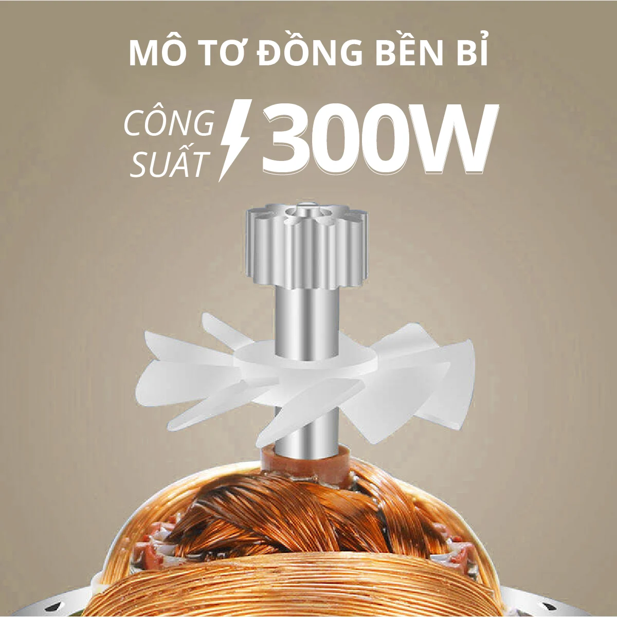 Máy xay đa năng Mishio - Hàng chính hãng