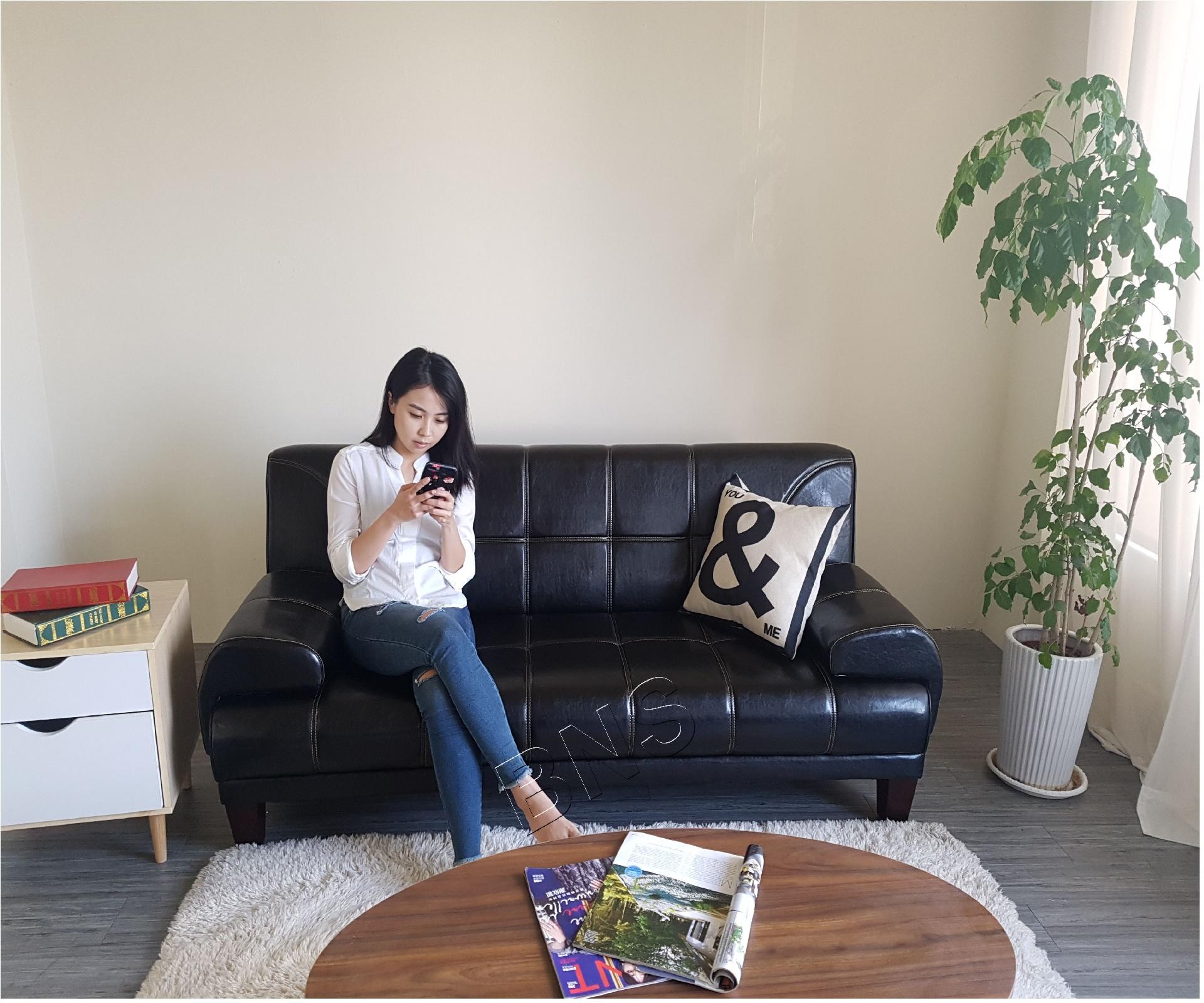 Sofa giường BN-Home 1809