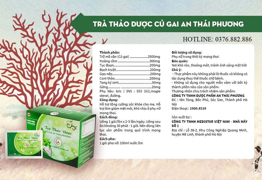 TRÀ THẢO DƯỢC CỦ GAI AN THÁI PHƯƠNG