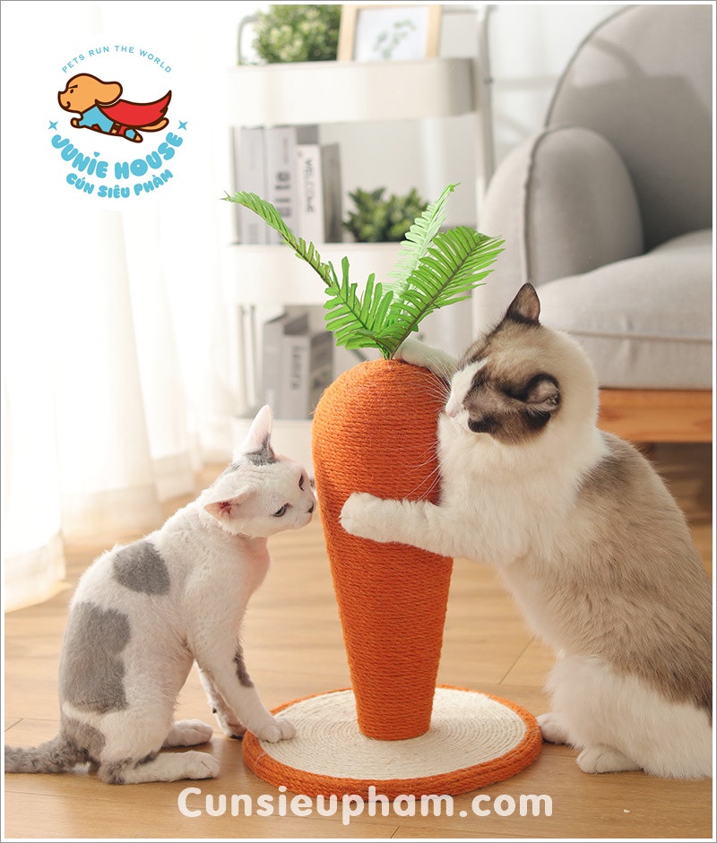Đồ chơi cây cà rốt cào móng cho mèo