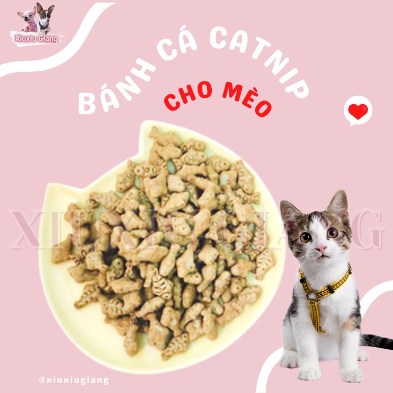 Bánh cá catnip nhiều vị cho mèo 50gr - xiuxiu giang