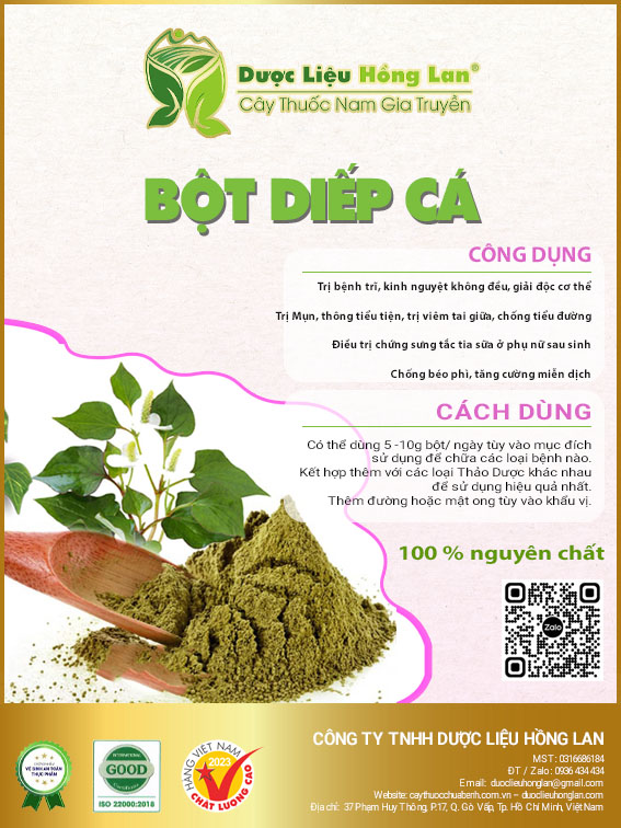 [freeshipmax] bột diếp cá 100g (100% nguyên chất sấy lạnh loại 1)