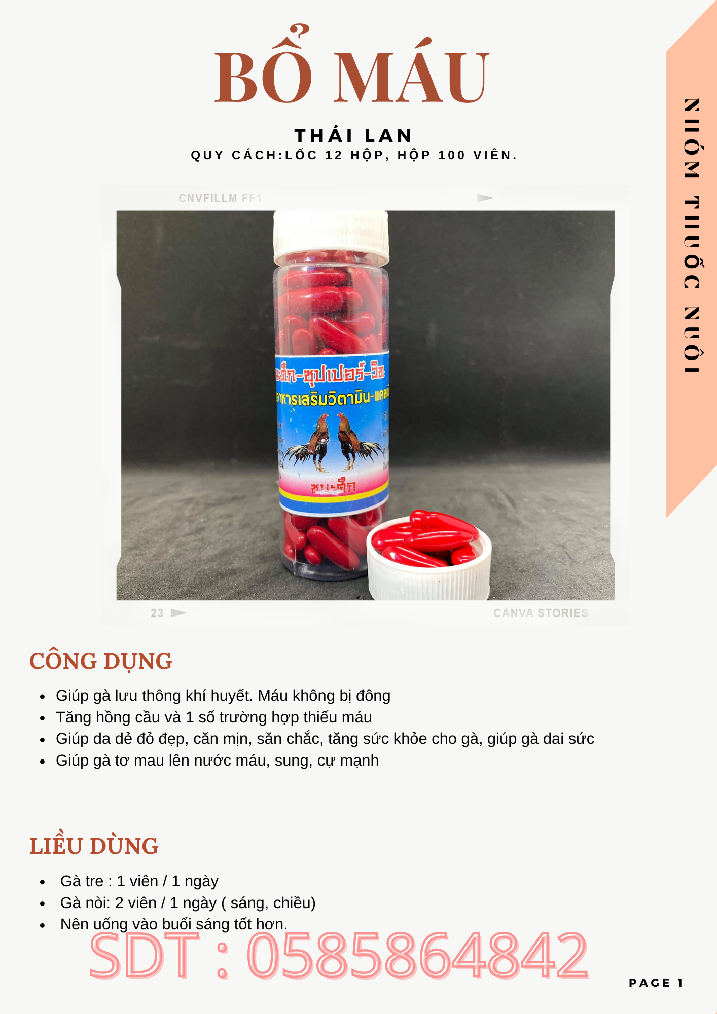 BỔ MÁU - NUÔI GÀ ĐÁ - HỦ/100 VIÊN