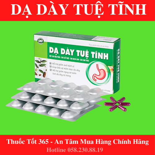 Dạ dày Tuệ Tĩnh, giúp bổ tỳ vị, tăng cường chức năng tiêu hóa - Sản phẩm 100% chính hãng - Hộp 30 viên
