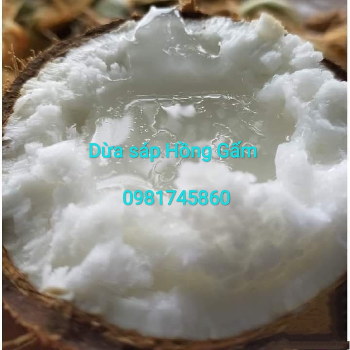 Dừa sáp Đặc Sản Trà Vinh