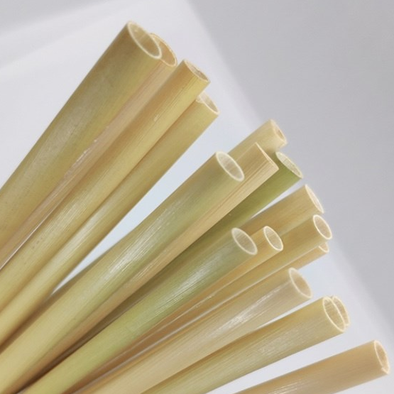 Ống hút cỏ bàng (hộp 100 ống hút cỏ khô) - Việt Handicraft