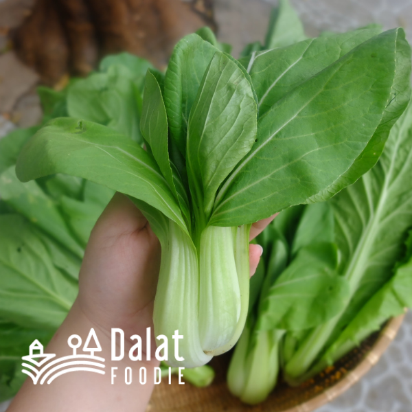 Cải Thìa 250G - [Giao hàng ngay tại TPHCM]