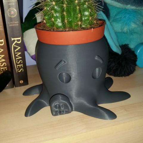 Chậu cây bạch tuộc siêu dễ thương - Cute Octopus planter