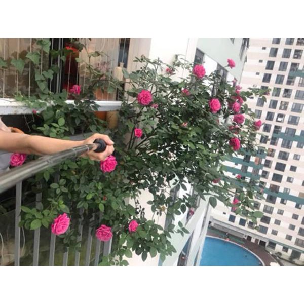 Phân dơi 75% CSV3-2-2+750M - Phân bón Hà Lan - 1kg [hàng nhập bao 25kg -đóng gói chia nhỏ lại]