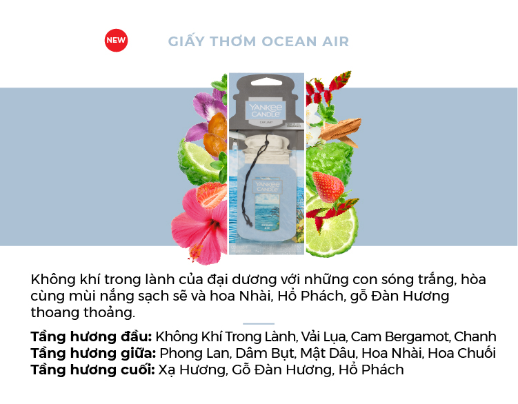 Giấy Thơm Xe Yankee Candle - Ocean Air