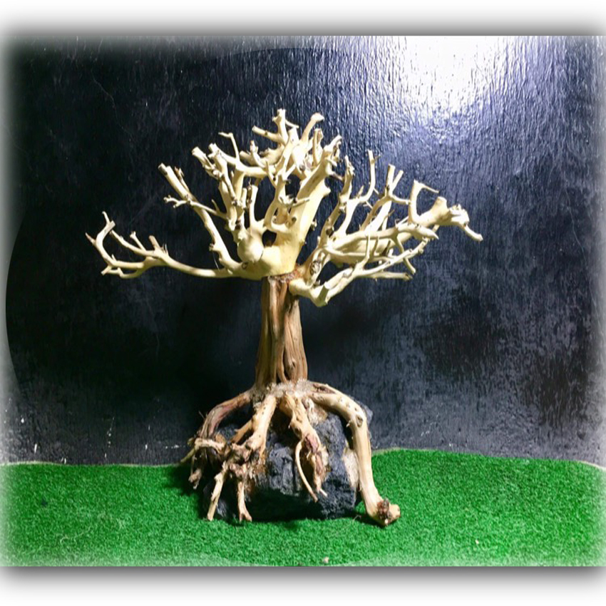 Lũa bonsai dành cho hồ cá cảnh hồ thủy sinh-KT30*17*23-Metep