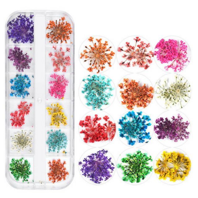 Hoa khô nail trang trí móng cánh nhỏ 12 màu