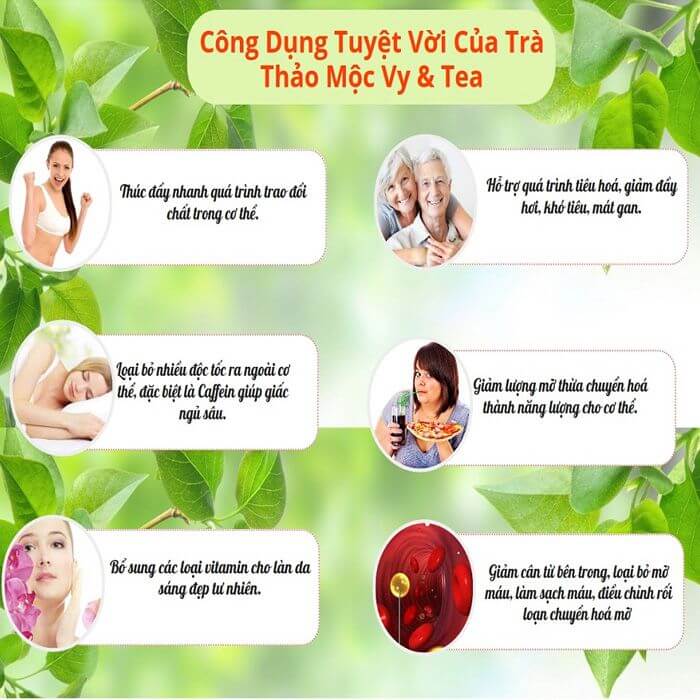 Trà thảo mộc giảm cân Vy & Tea