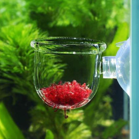 Cốc mica đựng trùn chỉ, trồng cây thủy sinh