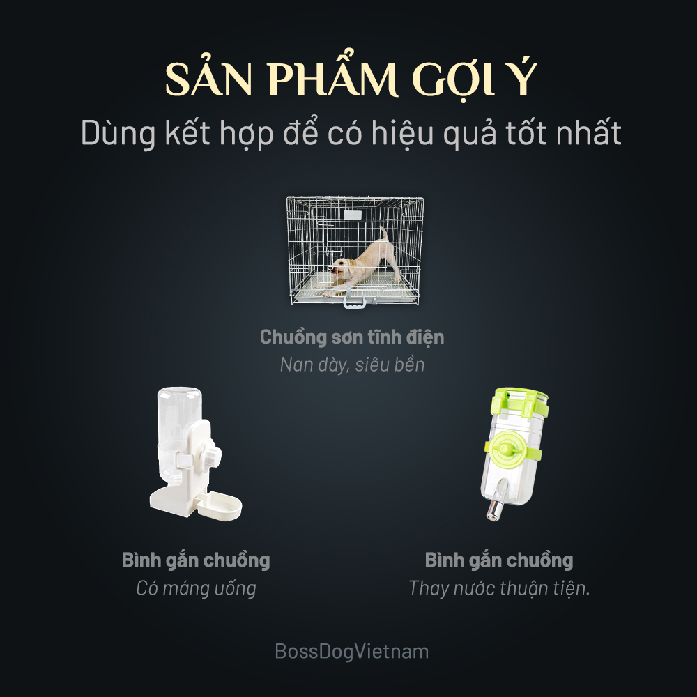 Bình nước cho chó mèo Leky (dạng vòi bi) | BossDog