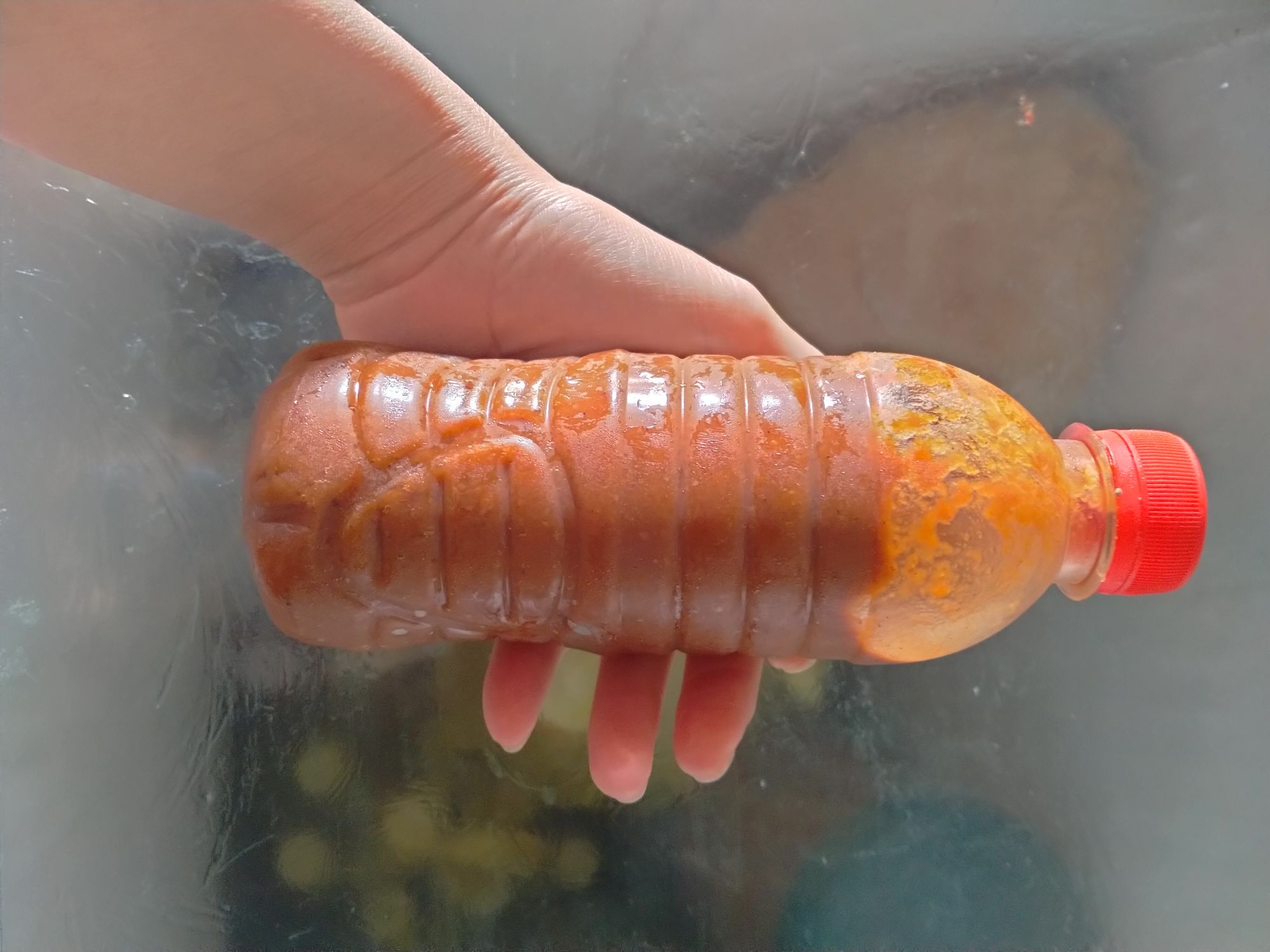 Mắm tép chua siêu ngon