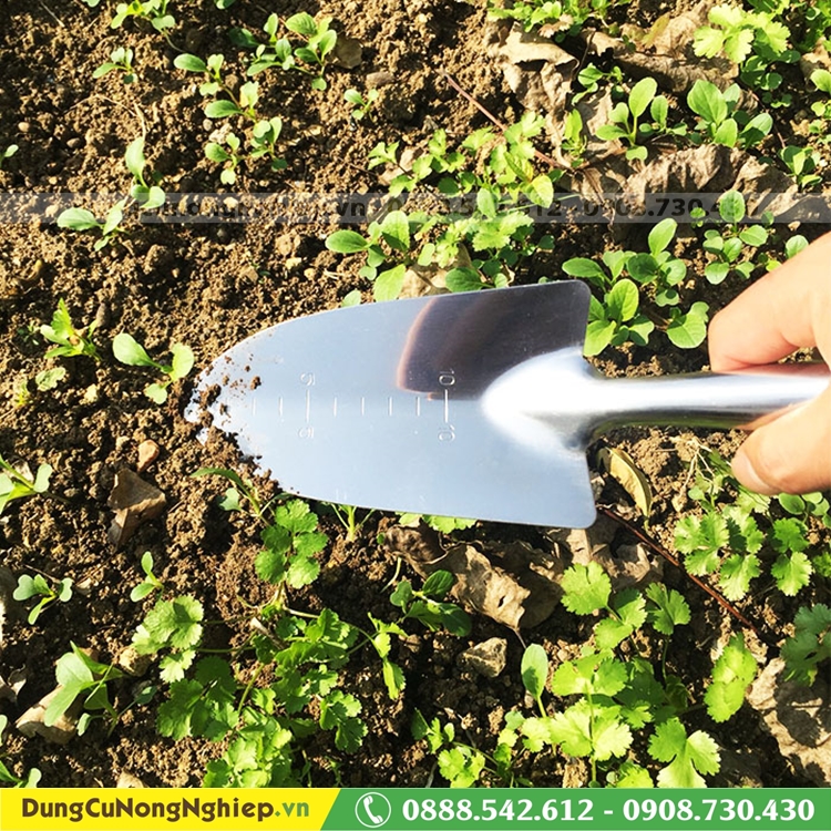 Bay tay lớn có thước đo Inox mũi tròn