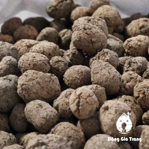 1kg VIÊN ĐẤT NUNG ( SỎI NHẸ ) SFARM